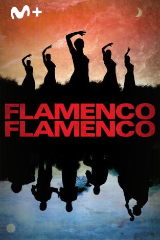 Flamenco, Flamenco