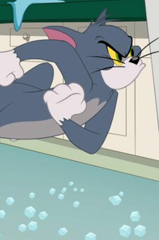 El Show de Tom y Jerry. T(T5). El Show de Tom y Jerry (T5)