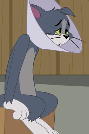 El Show de Tom y Jerry. T(T2). El Show de Tom y... (T2): Cara de antena