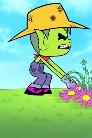 Teen Titans Go!. T(T2). Teen Titans Go! (T2): Fruta de cabeza