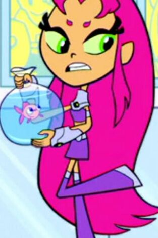 Teen Titans Go!. T(T4). Teen Titans Go! (T4): El agua del pez