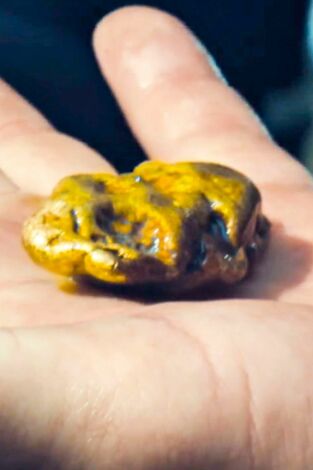 La fiebre del oro: aguas bravas. La fiebre del oro:...: El regalo dorado de Fred