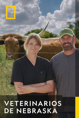 Veterinarios de Nebraska. T(T2). Veterinarios de Nebraska (T2)