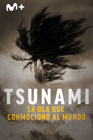 Tsunami: la ola que conmocionó al mundo. Tsunami: la ola que...: Ep.2