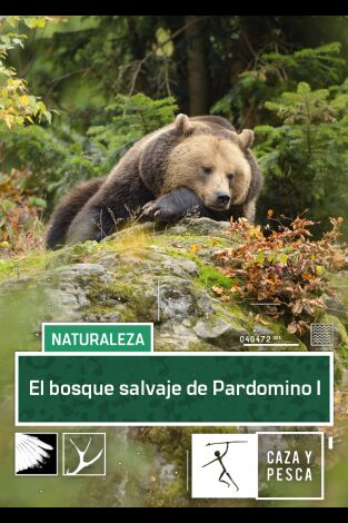 El bosque salvaje de Pardomino