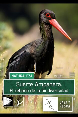 Suerte Ampanera, rebaño de biodiversidad