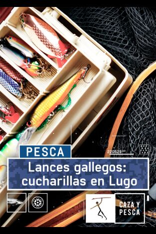 Lances gallegos: cucharillas en Lugo