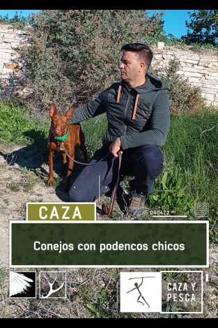 Conejos con podenco chico