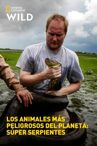 Los animales más peligrosos del planeta: súper serpientes