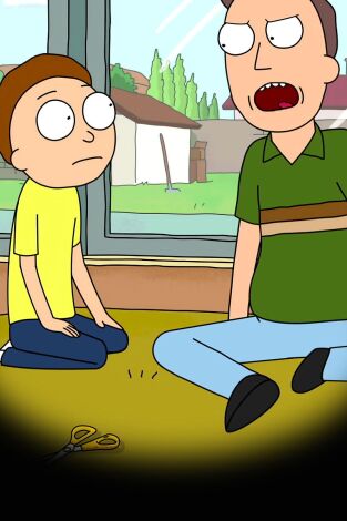 Rick y Morty. T(T1). Rick y Morty (T1): Ep.9 Cosas necesarias