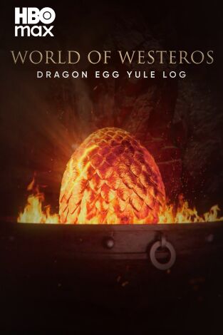 Tu chimenea en Poniente