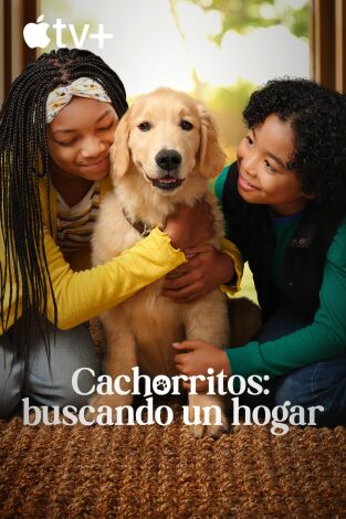 Cachorritos: buscando un hogar. T(T1). Cachorritos: buscando un hogar (T1)