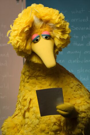 Carta a…. Carta a…: Big Bird