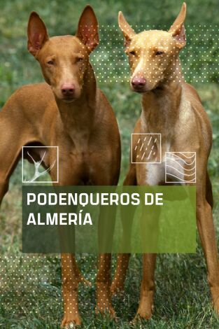 Podenqueros de Almería