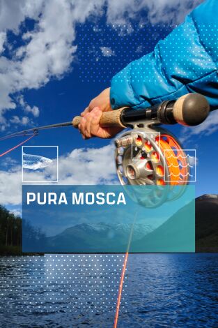 Pura mosca. T(T5). Pura mosca (T5)