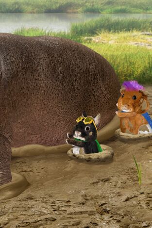 Wonder Pets en la ciudad. T(T1). Wonder Pets en la... (T1): ¡Salvan a la eriza! / ¡Salvan al hipopótamo!