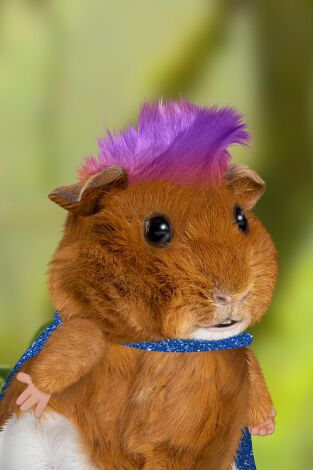 Wonder Pets en la ciudad. T(T1). Wonder Pets en la... (T1): ¡Salvan al pájaro carpintero! / ¡Salvan al salmón!
