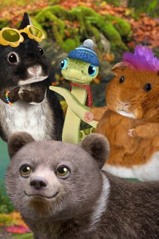 Wonder Pets en la ciudad. T(T1). Wonder Pets en la... (T1): ¡Ayudan a la osezna! / ¡Salvan a la triste ranita Sumi-e!