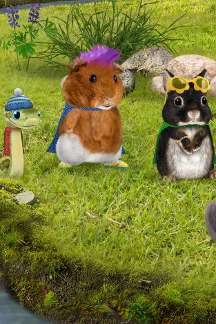 Wonder Pets en la ciudad. T(T1). Wonder Pets en la... (T1): ¡Salvan a la chinchilla! / ¡Ayudan a la araña de seda dorada!