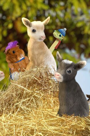Wonder Pets en la ciudad. T(T1). Wonder Pets en la... (T1): ¡Salvan a la cabrita que grita! / ¡Ayudan al culpeo salvaje!