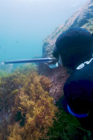 Apnea con David Ochoa. T(T1). Apnea con David... (T1): Nueva Zelanda