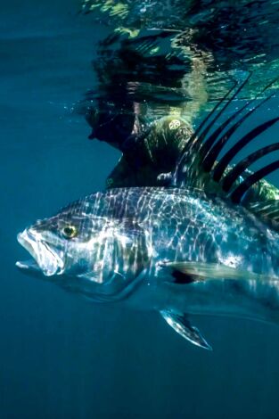 Apnea con David Ochoa. T(T1). Apnea con David... (T1): Panamá y México