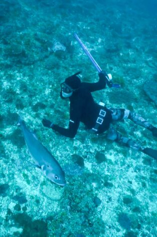 Apnea con David Ochoa. T(T1). Apnea con David... (T1): Zanzibar, Fiji y Madagascar