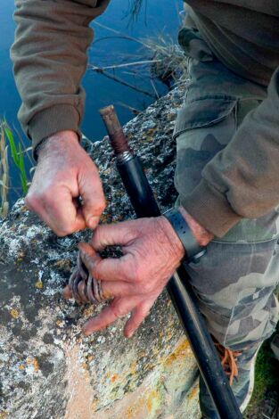 Islas con tradición. T(T1). Islas con tradición (T1): Cucadas y poteras