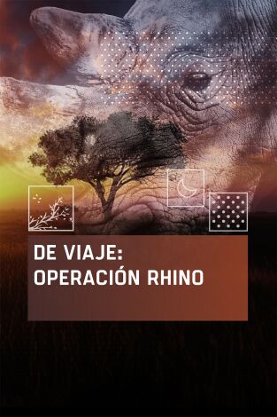 De viaje: Operación rhino