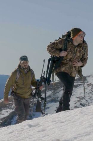 Wild hunting. T(T2). Wild hunting (T2): Chamois Alpes marítimos