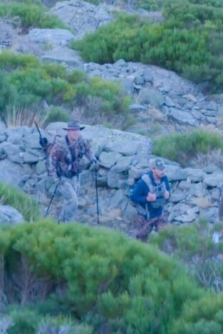 Wild hunting. T(T4). Wild hunting (T4): El Gredos de Marc