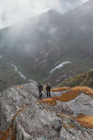 Súper Mario Boss. T(T1). Súper Mario Boss (T1): Tar de Nueva Zelanda