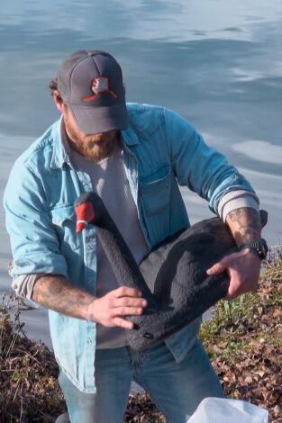 Súper Mario Boss. T(T1). Súper Mario Boss (T1): Patos y faisanes