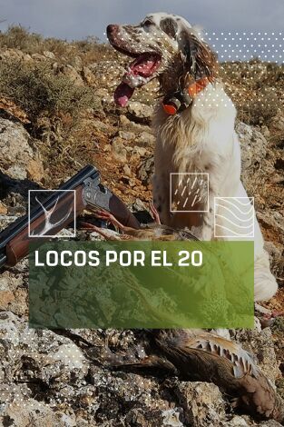 Locos por el 20. T(T2). Locos por el 20 (T2)