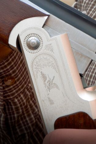 Locos por el 20. T(T2). Locos por el 20 (T2): Codornices: escasas y complicadas