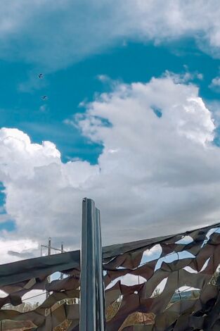 Locos por el 20. T(T2). Locos por el 20 (T2): El reto de las torcaces