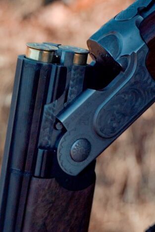 Locos por el 20. T(T2). Locos por el 20 (T2): Perdices manchegas