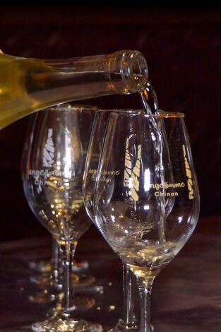 Locos por el 20. T(T1). Locos por el 20 (T1): Vinos y Faisanes,emblema Francés