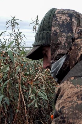 Locos por el 20. Especial Argentina. T(T3). Locos por el... (T3): Patos de arrozal
