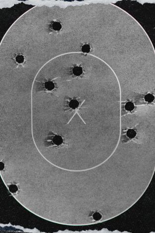 El problema con Jon Stewart. T(T1). El problema con... (T1): Control de armas de fuego