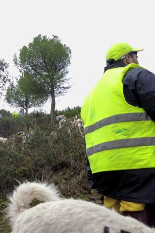 De montería. T(T8). De montería (T8): Ep.4