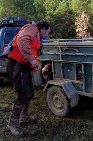 De montería. T(T8). De montería (T8): Ep.9