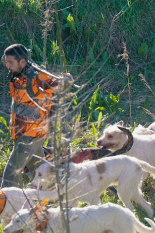 De montería. T(T9). De montería (T9): Ep.9