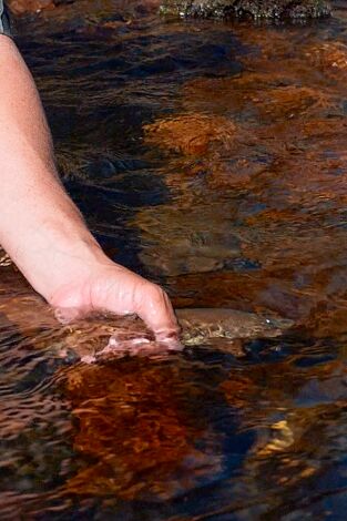 León is different con Pablo Castro. T(T1). León is different... (T1): Lances finos de otoño
