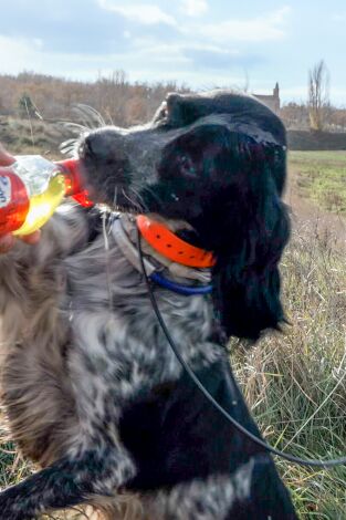 La caza con Karla. T(T1). La caza con Karla (T1): La perdiz roja