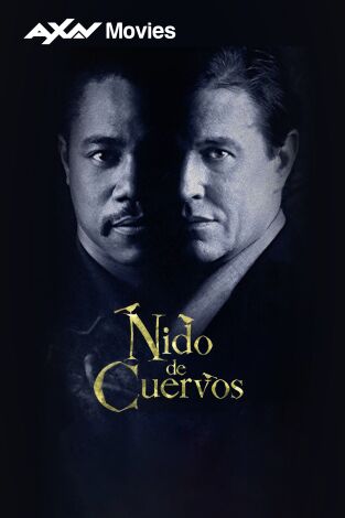 Nido de cuervos