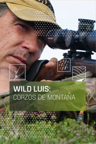 Wild Luis: Corzos de montaña