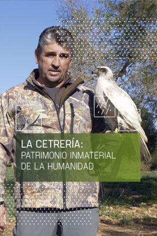 La cetrería: patrimonio inmaterial de la humanidad. T(T1). La cetrería:... (T1): Bajo vuelo con Harris