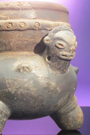 Misterios en el museo. Misterios en el museo: La ciudad perdida del Dios Mono