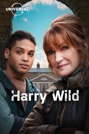 Harry Wild. T(T2). Harry Wild (T2)